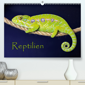 Reptilien (Premium, hochwertiger DIN A2 Wandkalender 2021, Kunstdruck in Hochglanz) von Sushi,  der