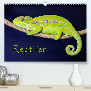 Reptilien (Premium, hochwertiger DIN A2 Wandkalender 2023, Kunstdruck in Hochglanz) von Sushi,  der