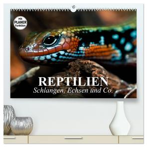 Reptilien. Schlangen, Echsen und Co. (hochwertiger Premium Wandkalender 2024 DIN A2 quer), Kunstdruck in Hochglanz von Stanzer,  Elisabeth