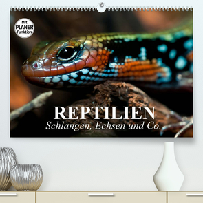 Reptilien. Schlangen, Echsen und Co. (Premium, hochwertiger DIN A2 Wandkalender 2022, Kunstdruck in Hochglanz) von Stanzer,  Elisabeth