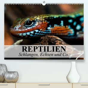 Reptilien Schlangen, Echsen und Co. (Premium, hochwertiger DIN A2 Wandkalender 2023, Kunstdruck in Hochglanz) von Stanzer,  Elisabeth