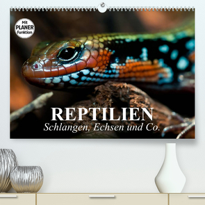 Reptilien. Schlangen, Echsen und Co. (Premium, hochwertiger DIN A2 Wandkalender 2023, Kunstdruck in Hochglanz) von Stanzer,  Elisabeth