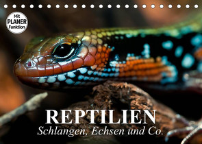 Reptilien. Schlangen, Echsen und Co. (Tischkalender 2023 DIN A5 quer) von Stanzer,  Elisabeth