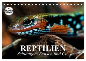 Reptilien. Schlangen, Echsen und Co. (Tischkalender 2024 DIN A5 quer), CALVENDO Monatskalender von Stanzer,  Elisabeth