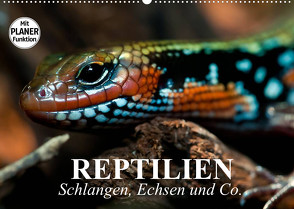 Reptilien. Schlangen, Echsen und Co. (Wandkalender 2022 DIN A2 quer) von Stanzer,  Elisabeth