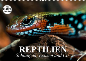 Reptilien. Schlangen, Echsen und Co. (Wandkalender 2023 DIN A2 quer) von Stanzer,  Elisabeth