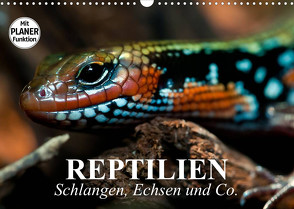 Reptilien. Schlangen, Echsen und Co. (Wandkalender 2023 DIN A3 quer) von Stanzer,  Elisabeth