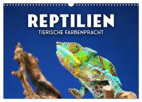 Reptilien – Tierische Farbenpracht (Wandkalender 2024 DIN A3 quer), CALVENDO Monatskalender von SF,  SF