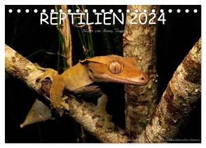 REPTILIEN (Tischkalender 2024 DIN A5 quer), CALVENDO Monatskalender von Trapp,  Benny