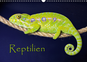 Reptilien (Wandkalender 2021 DIN A3 quer) von Sushi,  der