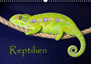 Reptilien (Wandkalender 2022 DIN A3 quer) von Sushi,  der