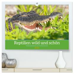 Reptilien wild und schön (hochwertiger Premium Wandkalender 2024 DIN A2 quer), Kunstdruck in Hochglanz von Pohl,  Bruno