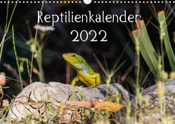 Reptilienkalender 2022 (Wandkalender 2022 DIN A3 quer) von Fotos, Zill,  Michael