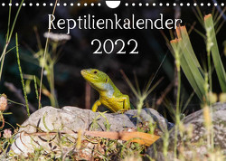 Reptilienkalender 2022 (Wandkalender 2022 DIN A4 quer) von Fotos, Zill,  Michael