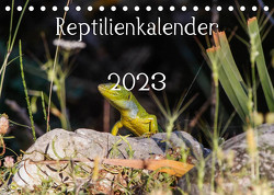 Reptilienkalender 2023 (Tischkalender 2023 DIN A5 quer) von Fotos, Zill,  Michael