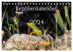 Reptilienkalender 2024 (Tischkalender 2024 DIN A5 quer), CALVENDO Monatskalender von Michael Zill,  Fotos, 