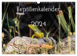 Reptilienkalender 2024 (Wandkalender 2024 DIN A3 quer), CALVENDO Monatskalender von Michael Zill,  Fotos, 