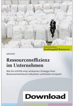 Ressourceneffizienz im Unternehmen von Leitschuh,  Heike