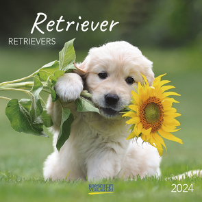 Retriever 2024 von Korsch Verlag