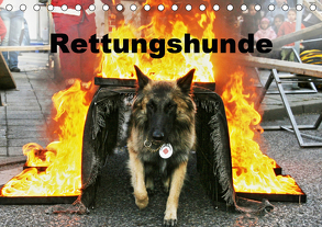 Rettungshunde (Tischkalender 2020 DIN A5 quer) von Mirlieb,  Ulf