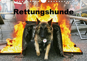 Rettungshunde (Wandkalender 2020 DIN A4 quer) von Mirlieb,  Ulf