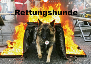 Rettungshunde (Wandkalender 2022 DIN A3 quer) von Mirlieb,  Ulf