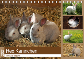 Rex – Kaninchen (Tischkalender 2021 DIN A5 quer) von Bagunk,  Anja