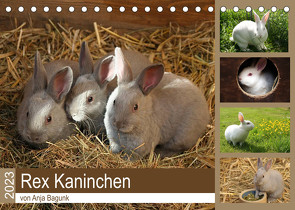 Rex – Kaninchen (Tischkalender 2023 DIN A5 quer) von Bagunk,  Anja
