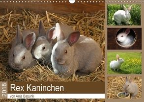 Rex – Kaninchen (Wandkalender 2018 DIN A3 quer) von Bagunk,  Anja