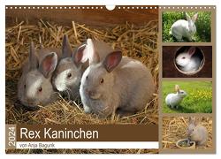 Rex – Kaninchen (Wandkalender 2024 DIN A3 quer), CALVENDO Monatskalender von Bagunk,  Anja
