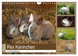 Rex – Kaninchen (Wandkalender 2024 DIN A4 quer), CALVENDO Monatskalender von Bagunk,  Anja