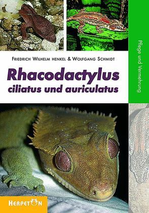 Rhacodactylus ciliatus und auriculatus von Henkel,  Friedrich W, Schmidt,  Wolfgang