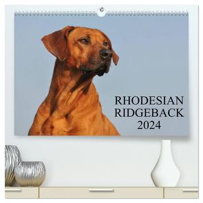 Rhodesian Ridgeback 2024 (hochwertiger Premium Wandkalender 2024 DIN A2 quer), Kunstdruck in Hochglanz von Starick,  Sigrid