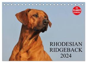 Rhodesian Ridgeback 2024 (Tischkalender 2024 DIN A5 quer), CALVENDO Monatskalender von Starick,  Sigrid