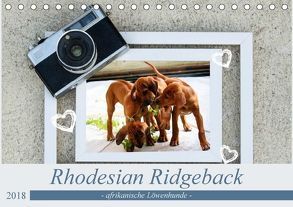 Rhodesian Ridgeback – afrikanische Löwenhunde (Tischkalender 2018 DIN A5 quer) von Behrens,  Dagmar