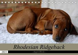 Rhodesian Ridgeback Augen-Blicke (Tischkalender 2023 DIN A5 quer) von Behrens,  Dagmar