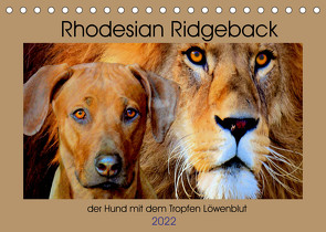 Rhodesian Ridgeback der Hund mit dem Tropfen Löwenblut (Tischkalender 2022 DIN A5 quer) von Behrens,  Dagmar