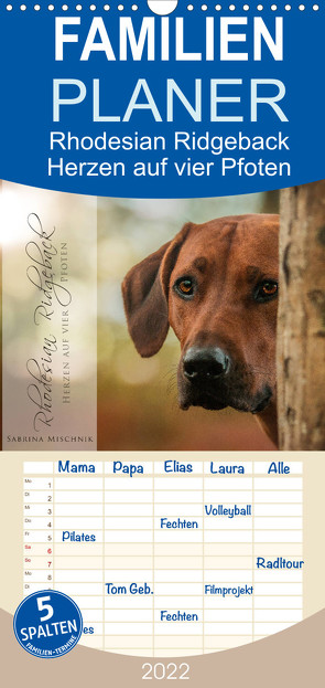 Familienplaner Rhodesian Ridgeback – Herzen auf vier Pfoten (Wandkalender 2022 , 21 cm x 45 cm, hoch) von Mischnik,  Sabrina