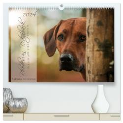 Rhodesian Ridgeback – Herzen auf vier Pfoten (hochwertiger Premium Wandkalender 2024 DIN A2 quer), Kunstdruck in Hochglanz von Mischnik,  Sabrina