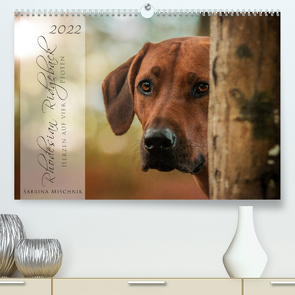 Rhodesian Ridgeback – Herzen auf vier Pfoten (Premium, hochwertiger DIN A2 Wandkalender 2022, Kunstdruck in Hochglanz) von Mischnik,  Sabrina