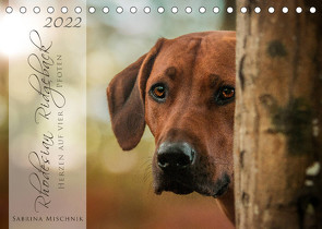 Rhodesian Ridgeback – Herzen auf vier Pfoten (Tischkalender 2022 DIN A5 quer) von Mischnik,  Sabrina