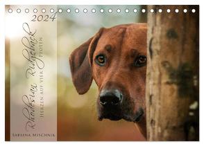 Rhodesian Ridgeback – Herzen auf vier Pfoten (Tischkalender 2024 DIN A5 quer), CALVENDO Monatskalender von Mischnik,  Sabrina