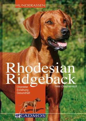 Rhodesian Ridgeback von Obschernicat,  Peter