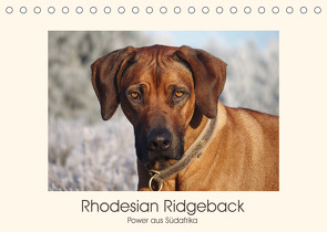 Rhodesian Ridgeback Power aus Südafrika (Tischkalender 2022 DIN A5 quer) von Bodsch,  Birgit