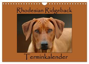 Rhodesian Ridgeback Terminkalender (Wandkalender 2024 DIN A4 quer), CALVENDO Monatskalender von van Wyk - www.germanpix.net,  Anke