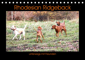 Rhodesian Ridgeback unterwegs mit Freunden (Tischkalender 2023 DIN A5 quer) von Behrens,  Dagmar