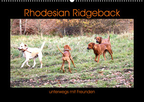 Rhodesian Ridgeback unterwegs mit Freunden (Wandkalender 2023 DIN A2 quer) von Behrens,  Dagmar