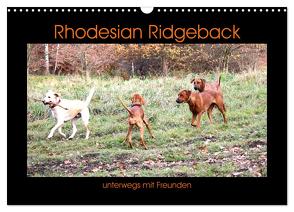 Rhodesian Ridgeback unterwegs mit Freunden (Wandkalender 2024 DIN A3 quer), CALVENDO Monatskalender von Behrens,  Dagmar