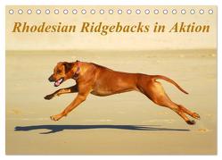 Rhodesian Ridgebacks in Aktion (Tischkalender 2024 DIN A5 quer), CALVENDO Monatskalender von van Wyk - www.germanpix.net,  Anke