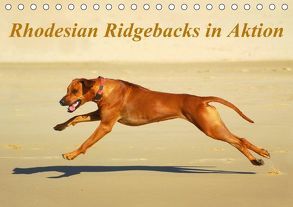 Rhodesian Ridgebacks in AktionAT-Version (Tischkalender 2018 DIN A5 quer) von van Wyk - www.germanpix.net,  Anke